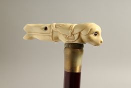 A BONE HANDLE WALKING STICK, HORSE'S AND DOG'S HEAD 36ins high.