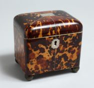 A VERY GOOD SMALL REGENCY TORTOISESHELL TWO DIVISION TEA CADDY with segmented top on four bun