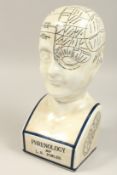 A PHENOLOGY PORCELAIN HEAD. 16ins high