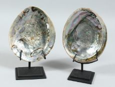 A PAIR OF ABALONE SHELLS on a stand. 5.5ins x 4.5ins.