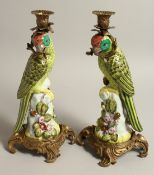 A PAIR OF CONTINENTAL PORCELAIN PARROT CANDLESTICKS on ormolu bases. 13ins high.