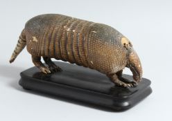 A VICTORIAN TAXIDERMY ARMIDILLO on a wooden stand. 14ins long.