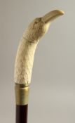 A BONE HANDLE WALKING STICK, BIRD'S HEAD. 38ins long.