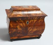 A GOOD REGENCY TORTOISESHELL STRAIGHT FRONTED TWO DIVISION TEA CADDY, ON FOUR BUN FEET. 6.5ins