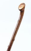 A RUSTIC BRIAR WALKING CANE 34ins long.