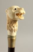 A BONE HANDLE WALKING STICK, CHINESE LION. 33ins long.