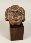A 17TH CENTURY CARVED LIMEWOOD CHERUB'S HEAD on a stand. 4ins