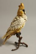 A VIENNA PAINTED COLD CAST PARROT on a branch. 11.5ins high.