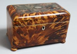 A GOOD REGENCY TORTOISESHELL STRAIGHT FRONTED TWO DIVISION TEA CADDY, ON FOUR BUN FEET. 6.5ins long