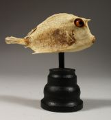 A BOX FISH SPECIMEN 7.5ins long on a wooden stand.