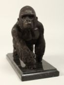 A BRONZE GORRILA on a marble base 7ins long.