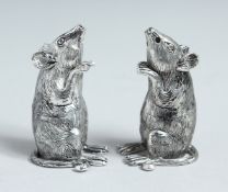 A PAIR OF .800 MICE SALT AND PEPPERS
