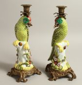 A PAIR OF CONTINENTAL PORCELAIN PARROT CANDLESTICKS, on ormolu bases. 13ins high.