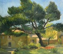 20th Century Continental School, a study of a tree in the grounds of a villa, oil on board, 21