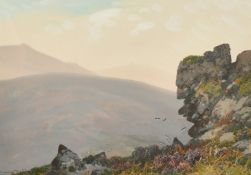 Frederick John Widgery (1861-1942) British, 'Black Grouse, Dartmoor', watercolour, signed and