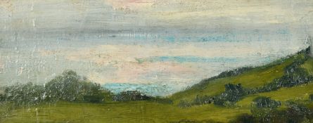 Early 20th Century, two plein air oil sketches, one 5