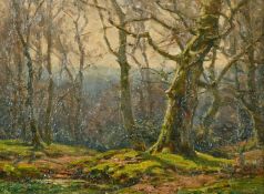 Frederick Golden Short (1863-1936) British, Trees in a winter wood with moss on the ground, oil on