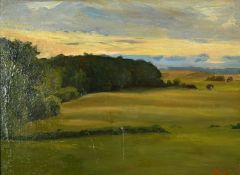 20th Century, A tranquil treelined open landscape, oil on board, initialed MS, 8.75