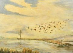 20th Century, possibly Irish School, Teal diving over a weir on the river Barrow (Carlow Kildare),