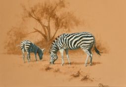 Stephen Pearson, 'Zebras Grazing', watercolour, signed, 14.25