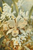 A 19th Century botanical watercolour of white Orchids, signed, monogrammed and dated 1897, 15