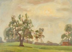 John Brown (20th Century) British, a view of trees with sun breaking through cloud, oil on board,