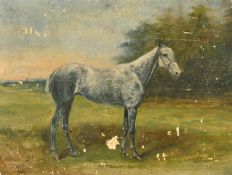 An Early 20th Century portrait of a horse, oil on board, 12