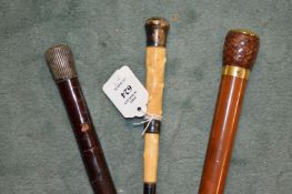 Three various walking sticks.