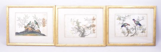 THREE EARLY 19TH CENTURY CHINESE PITH PAINTINGS, depicting birds in trees, framed and glazed, 31cm x