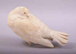 A SUPERB JAPANESE CARVED IVORY MODEL OF A PIGEON, with finely carved feathers and bead inset