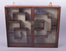 A CHINESE WALL MOUNTED SNUFF BOTTLE CABINET, with two glass doors, 56cm x 46cm.