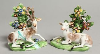 AN 18TH CENTURY DERBY PAIR OF FIGURES OF A STAG AND HIND AT LODGE.