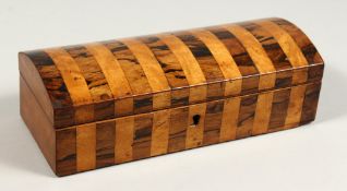 A GOOD 19TH CENTURY MAPLE AND WALNUT GLOVE BOX with domed top. 10ins long.