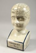A LARGE POTTERY PHRENOLOGY HEAD. 16ins high.