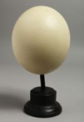 A SPECIMEN OSTRICH EGG 5.5ins on a stand.