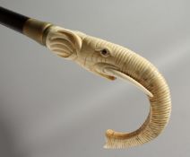 A WALKING STICK with carved bone handle 'Elephant'. 35ins long.