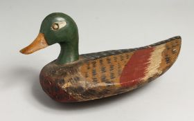 A PAINTED WOOD DECOY DUCK, possibly American. 12ins long.