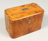 A GOOD REGENCY BLONDE TORTOISESHELL TWO DIVISION TEA CADDY. 6.5ins long.