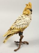 A VIENNA PAINTED COLD CAST BRONZE COCKATOO PARROT on a stand. 11ins high.