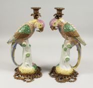 A PAIR OF PORCELAIN PARROT CANDLESTICKS on ormolu bases.