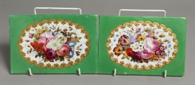 A 19TH CENTURY SEVRES TYPE PAIR OF PLAQUES painted with English flowers in a raised gilt panel on
