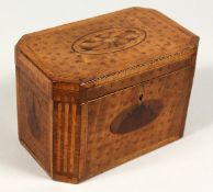 A GOOD GEORGE III YEW WOOD INLAID TEA CADDY, crossbanded with ovals. 7.5ins.