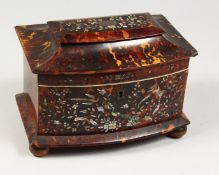 A GOOD REGENCY TORTOISESHELL AND MOTHER OF PEARL BOW FRONTED TWO DIVISION TEA CADDY the front with