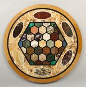 A GOOD SPECIMEN MARBLE CIRCULAR TABLETOP. 25ins diameter.