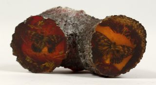 A FAUX-AMBER BUG TREE-LIKE SPECIMEN. 5ins high.