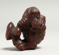 A JAPANESE CARVED WOOD MONKEY NETSUKE, 5cm.