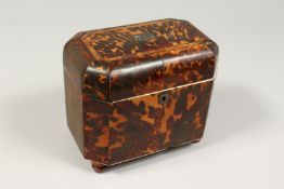 A GOOD REGENCY TORTOISESHELL TWO DIVISION TEA CADDY with crossbanded domed top. 7ins long, 6ins