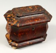 A GOOD REGENCY TORTOISESHELL TWO DIVISION TEA CADDY with crossbanded domed top. 6.5ins high.