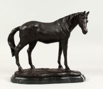 A BRONZE STANDING HORSE on a shaped marble base 8ins high.