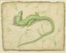 Victor Koulbak (b. 1946), 'Lizard (2007)', silverpoint and watercolour, 10
